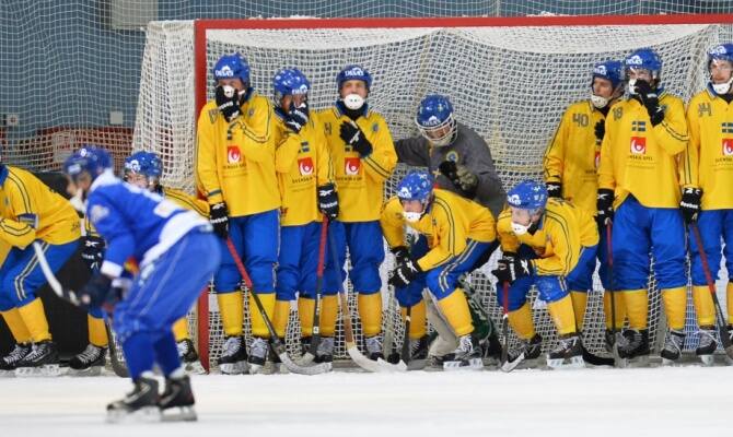 Сборная Швеции стала третьей на чемпионате мира по хоккею с мячом