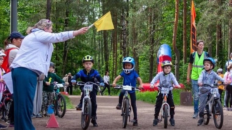 Территория спорта. День за Днем. Парк Сосновка