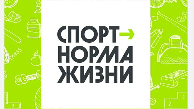 Определены победители и призеры первенства Санкт-Петербурга по онлайн-керлингу