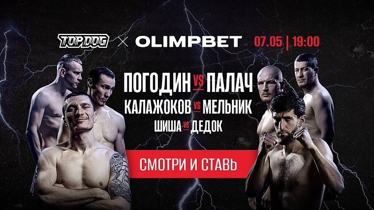 Ставка на нокаут: Olimpbet разыграет 300 000 рублей на юбилейном турнире Top Dog