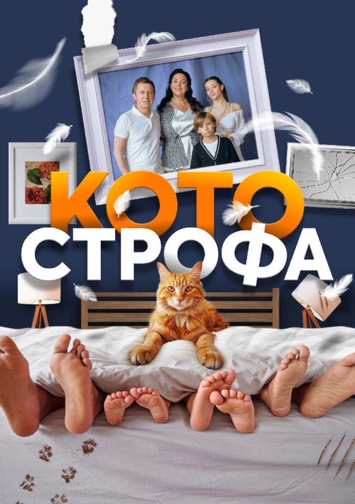 Котострофа.jpg