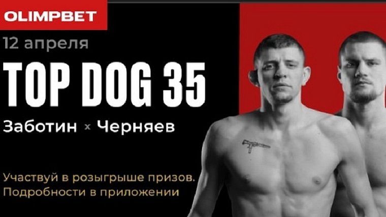Олимбет объявляет о проведении стадионного турнира TOP DOG 35 в Тольятти.