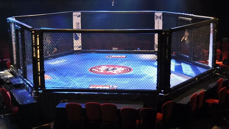 Двалишвили и О’Мэлли сражаются за шанс оспорить пояс чемпиона UFC у Петра Яна.