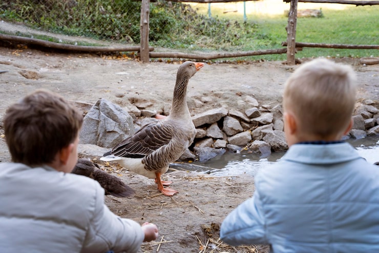 Игорь Гусев продолжит выступать за «Динамо» еще один сезон