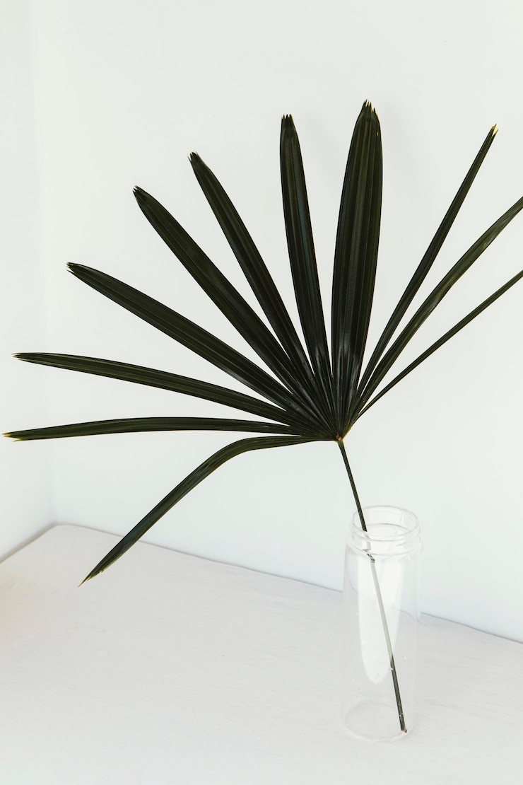 Пимблетт: «Бой с Махачевым – в следующем году»