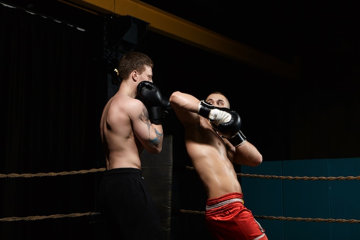 Волков сохранил статус претендента на титул UFC, несмотря на бой с Ганом